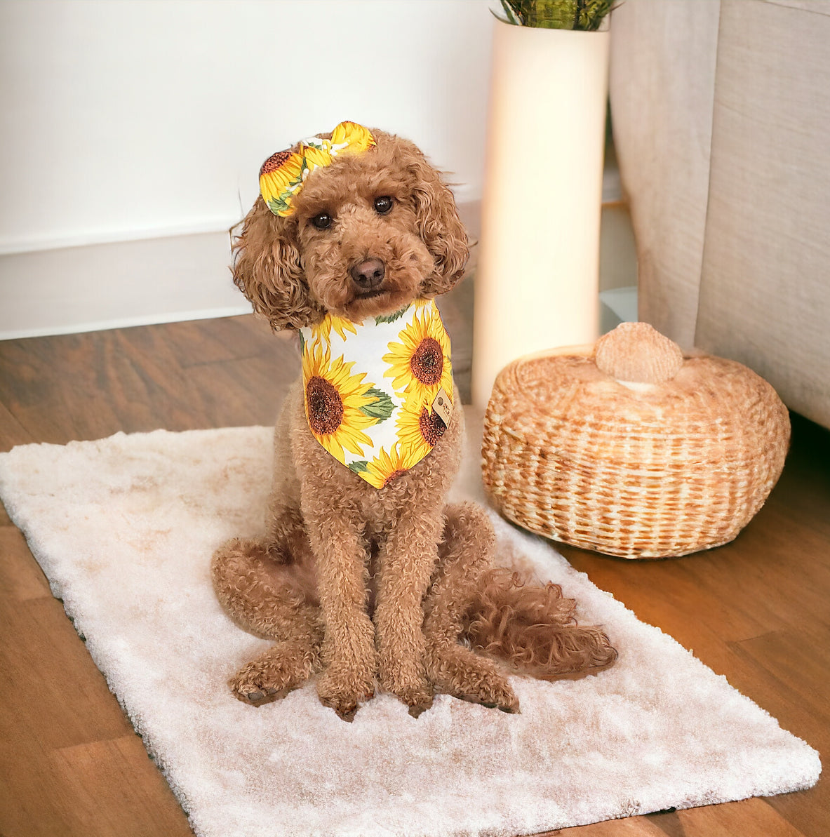 Sunflower Dog Bandana