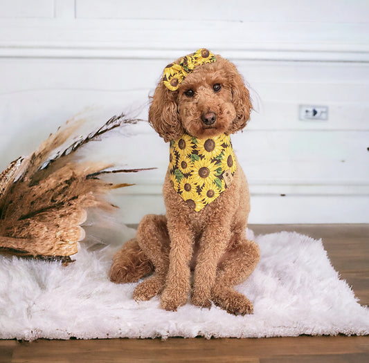 Sunflower Dog Bandana