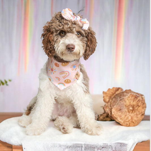 Boho Rainbow Dog Bandana