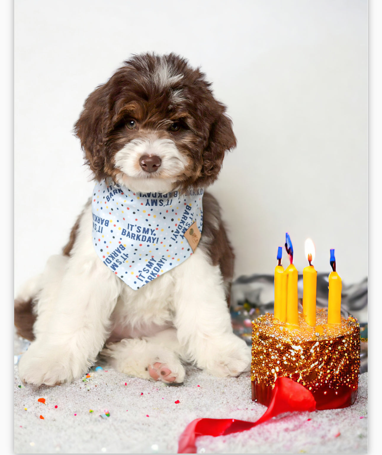 It's My Bark Day Blue Dog Bandana