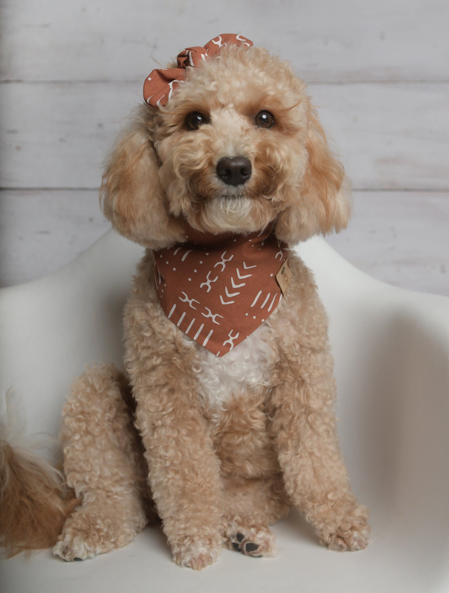 Rust Dog Bandana