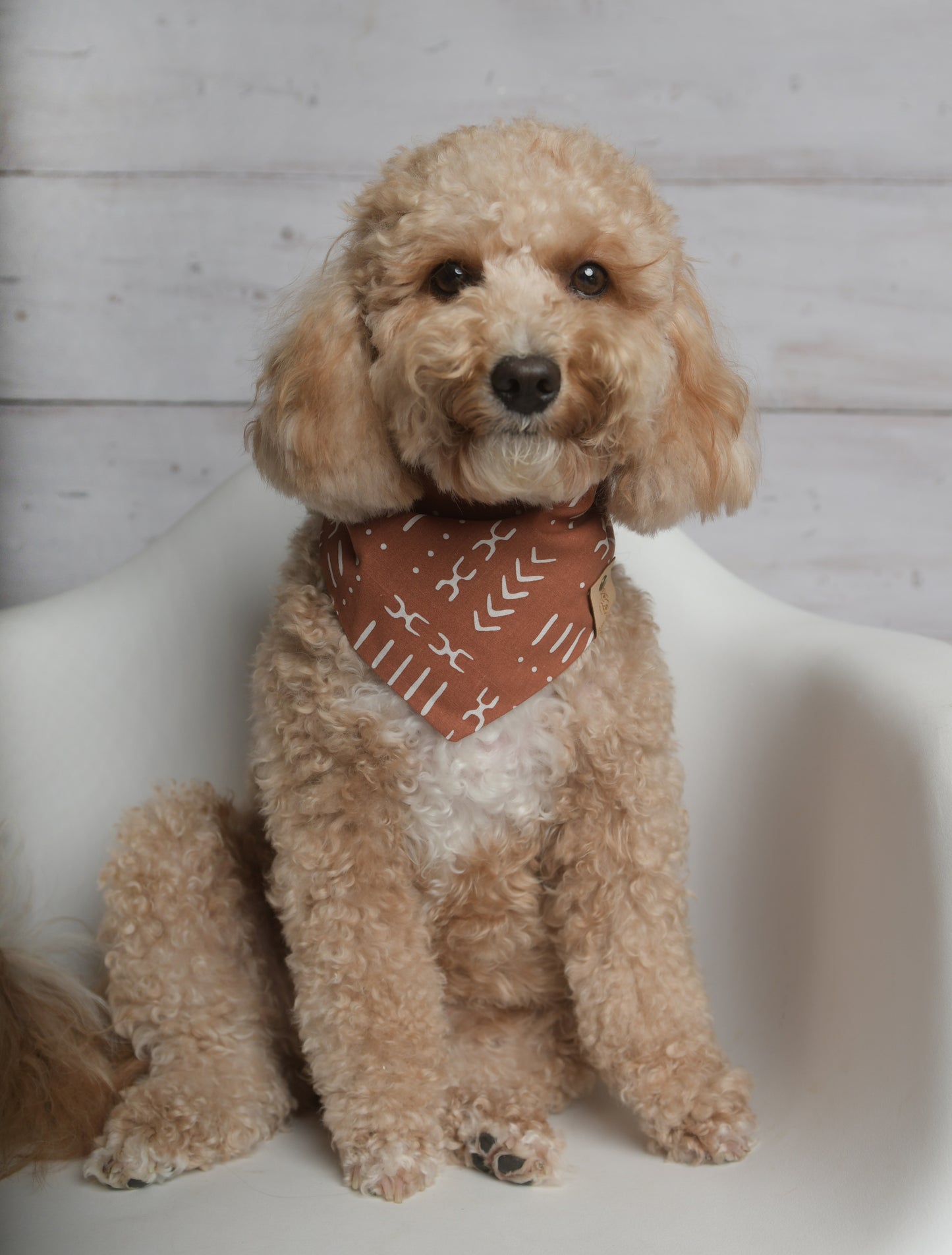 Rust Dog Bandana