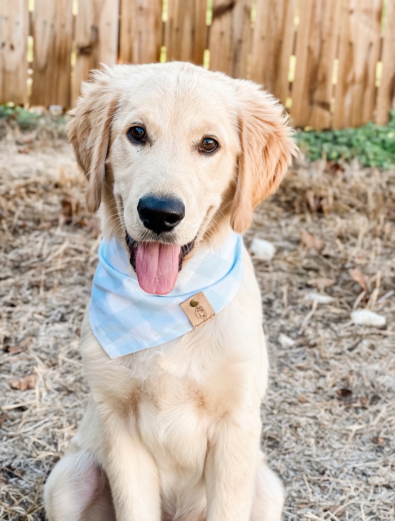 Light Blue Buffalo Plaid Dog Bandana