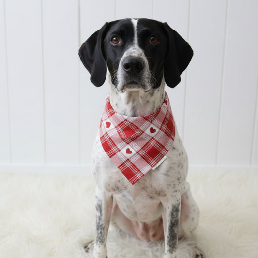 Plaid Valentine’s Dog Bandana