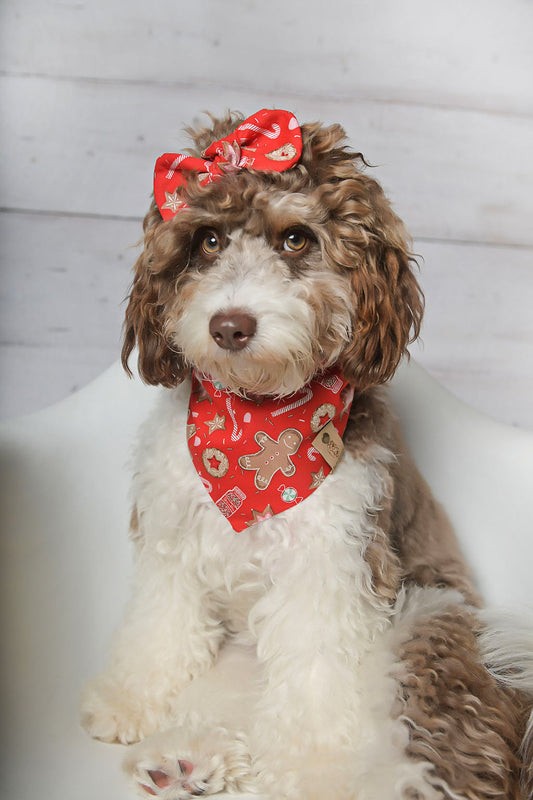 Gingerbread Red Dog Bandana