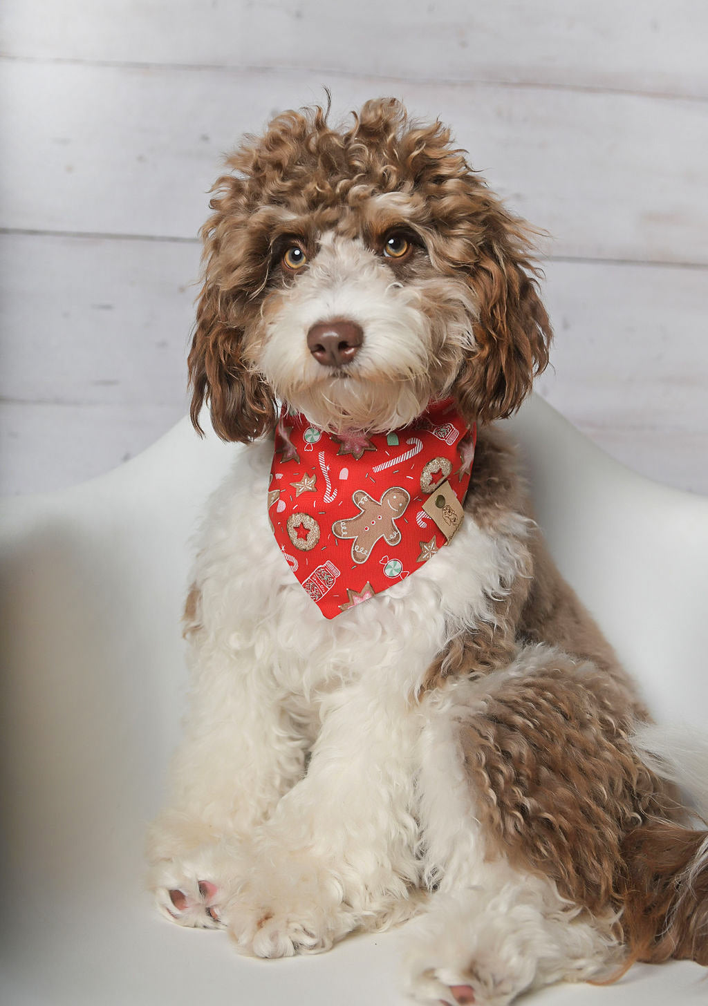 Gingerbread Red Dog Bandana