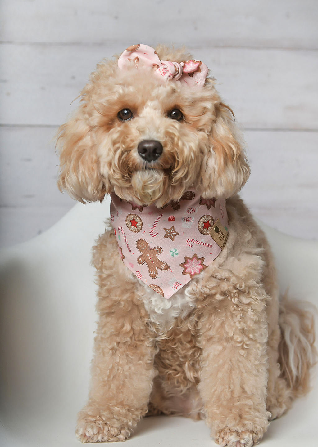 Gingerbread Pink Dog Bandana