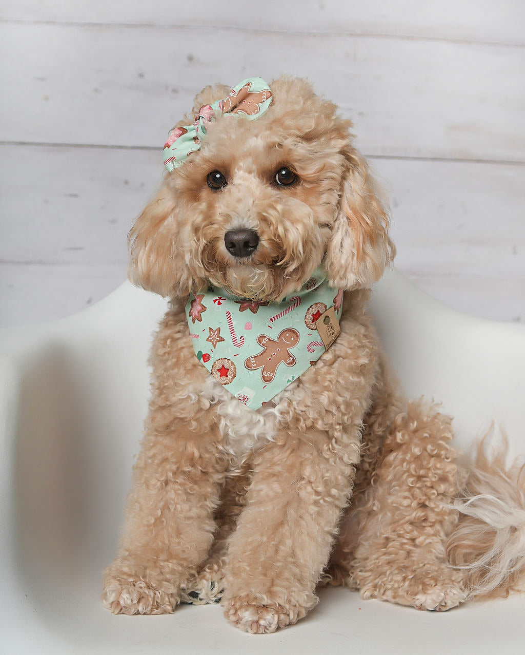 Gingerbread Mint Dog Bandana