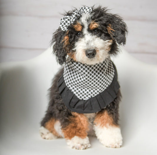 Dog wearing black ruffle houndstooth dog bandana – classic and elegant handmade pet accessory
