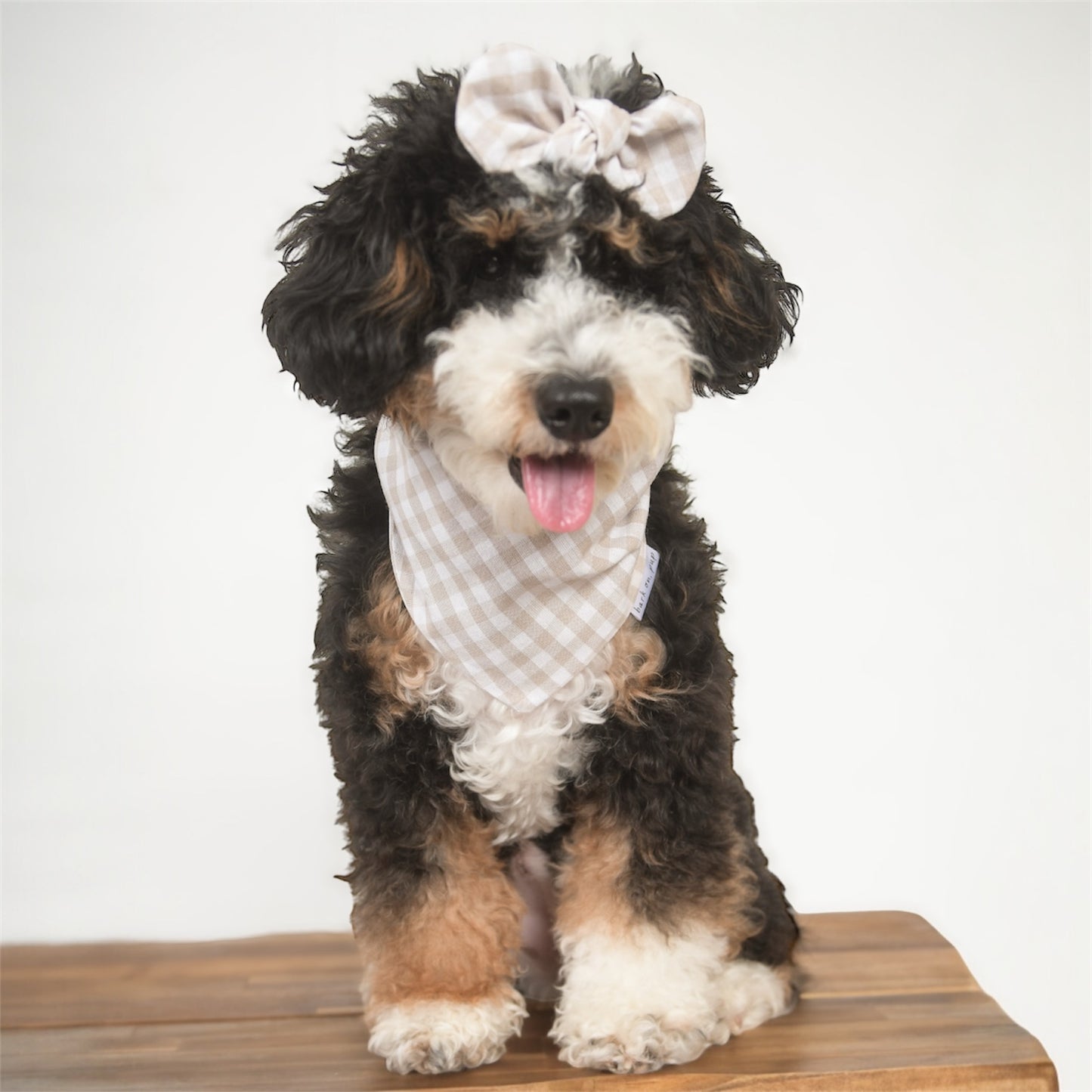 Tan Gingham Dog Bandana