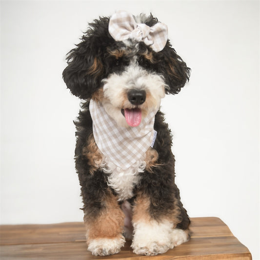 Tan Gingham Dog Bandana