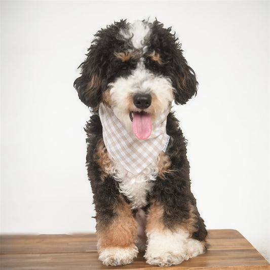 Tan Gingham Dog Bandana