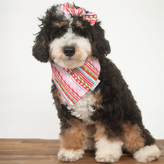 Pink Candy Cane Dog Bandana