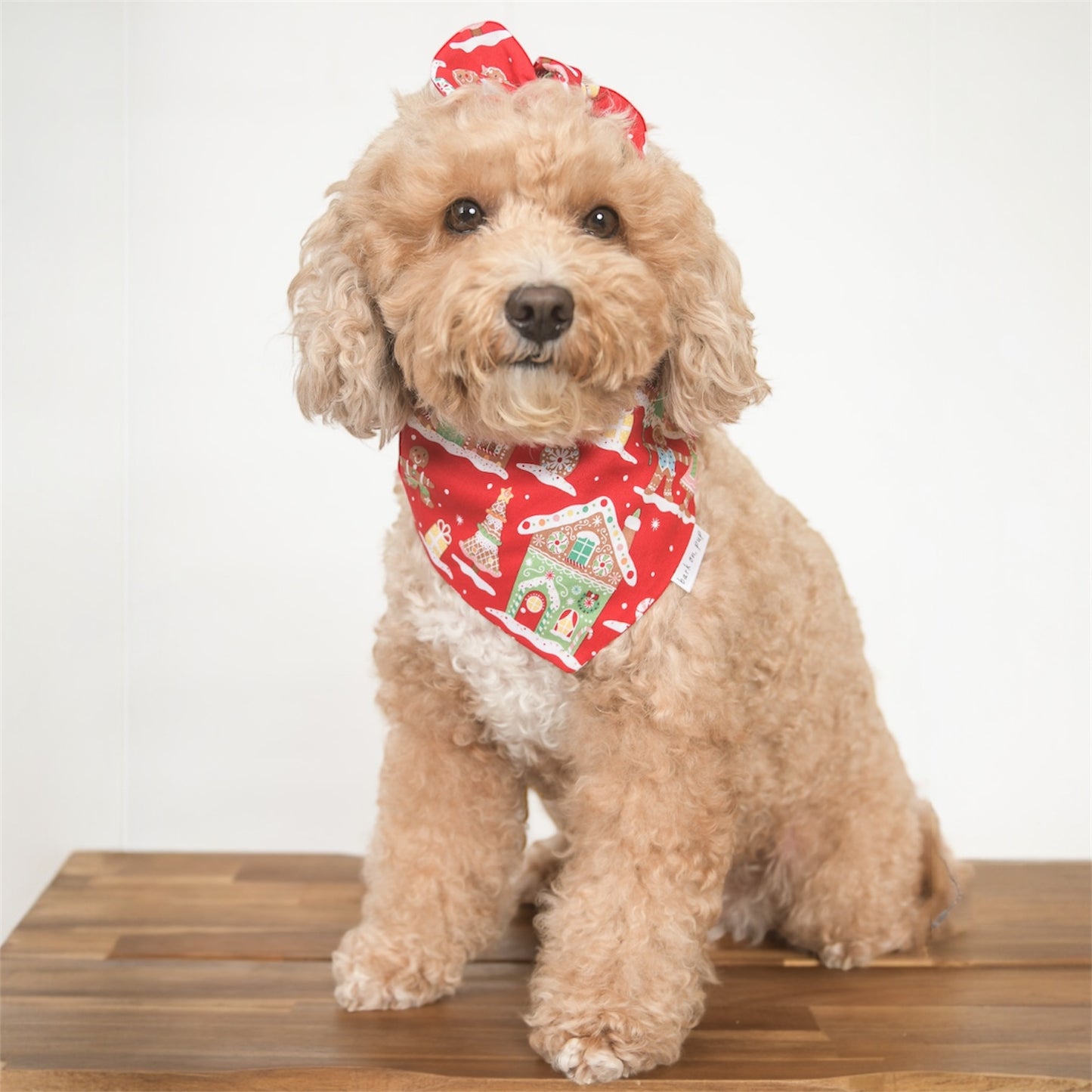 Gingerbread Lane Dog Bandana