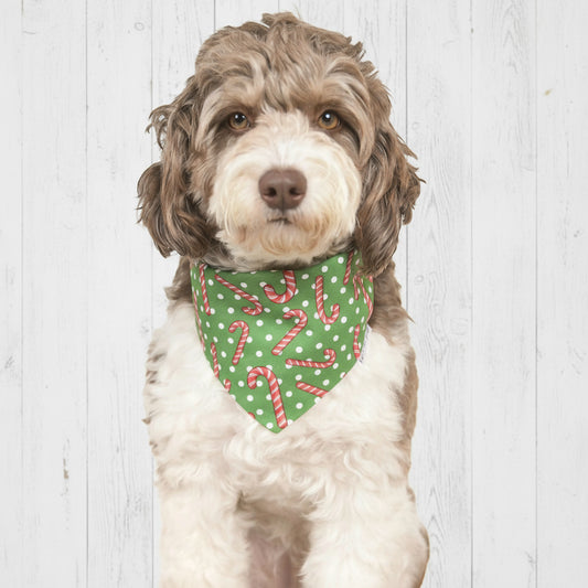 Candy Cane Dog Bandana