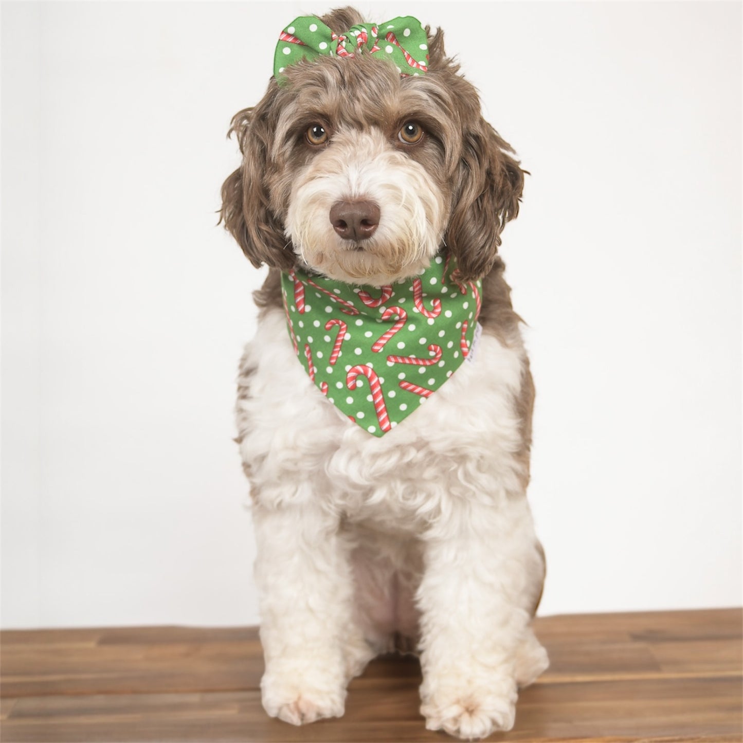 Candy Cane Dog Bandana