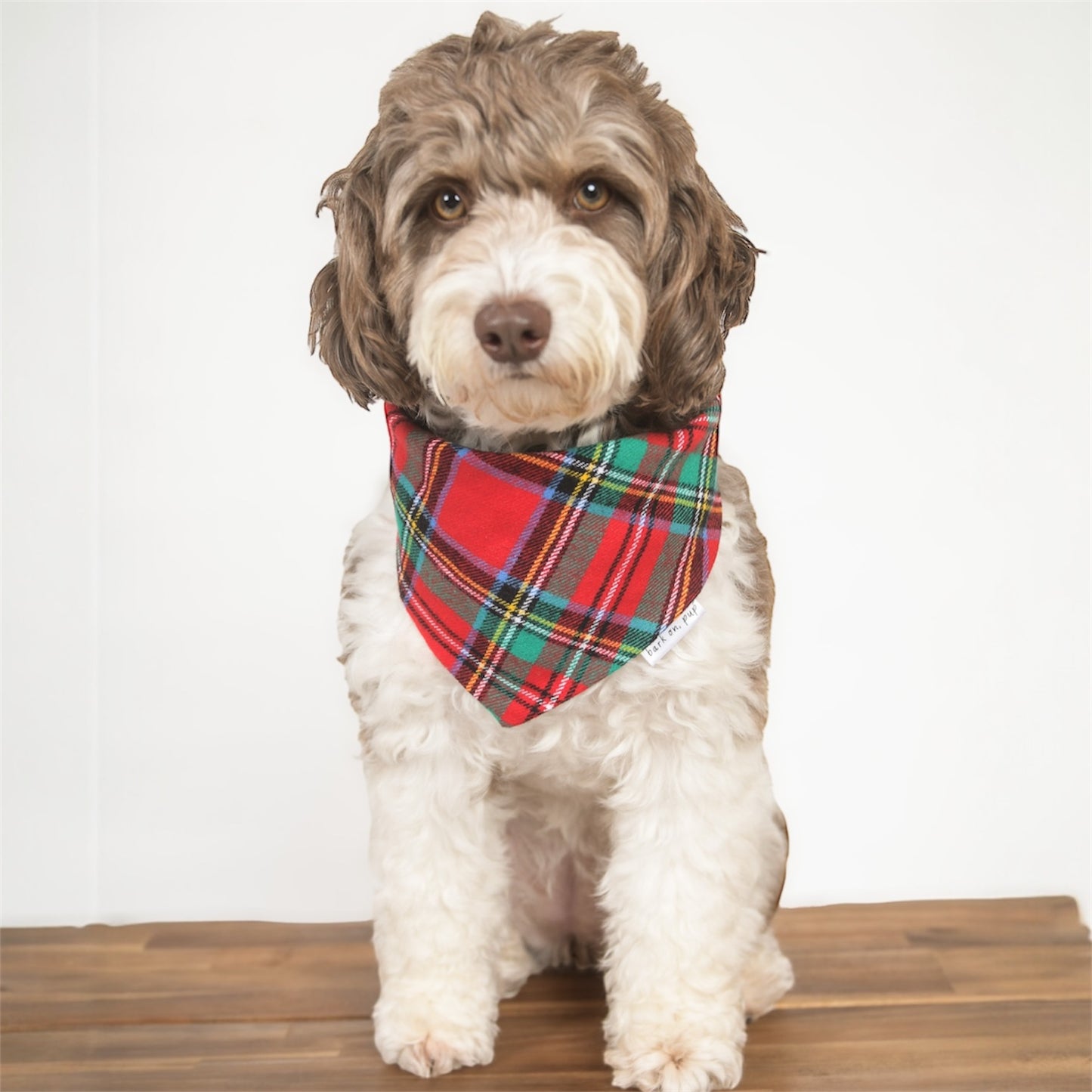 Holiday Plaid Dog Bandana - Flannel