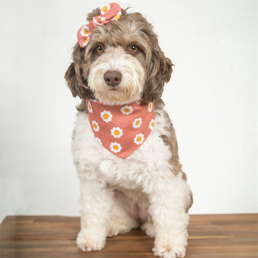 Coral Daisy Dog Bandana