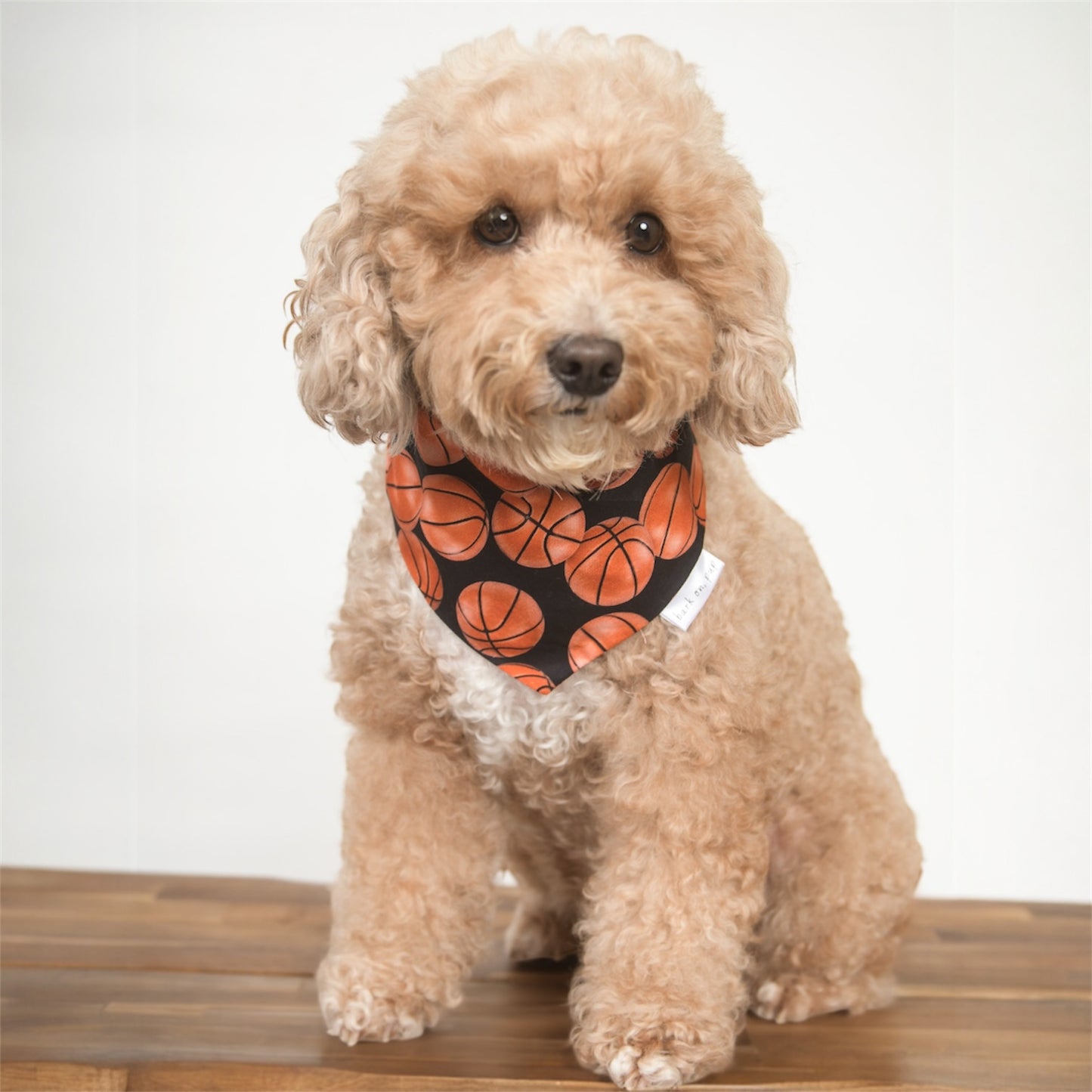 Basketball Dog Bandana