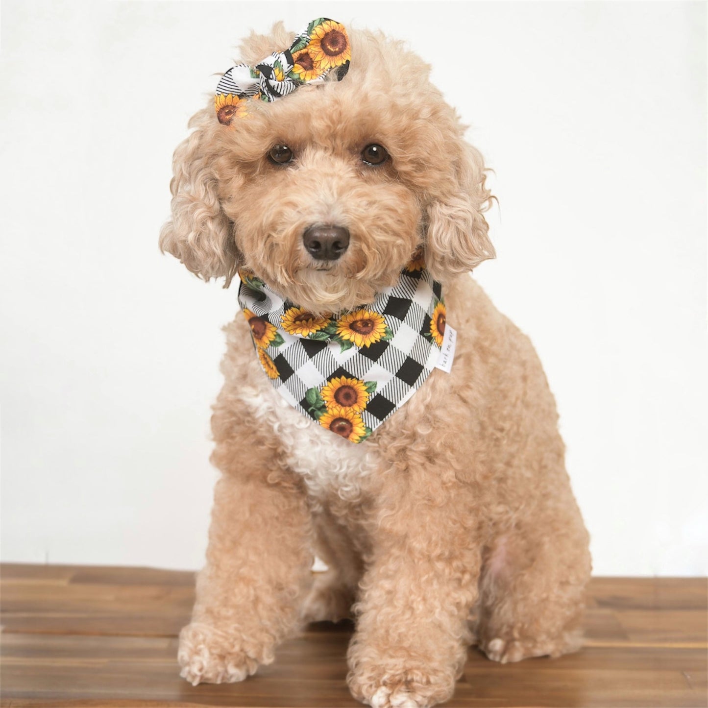 Sunflower Plaid Dog Bandana