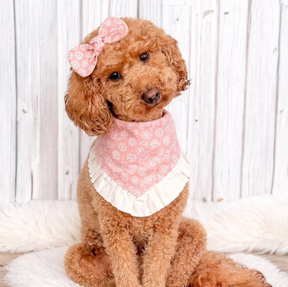 Dusty Pink Ruffle Dog Bandana