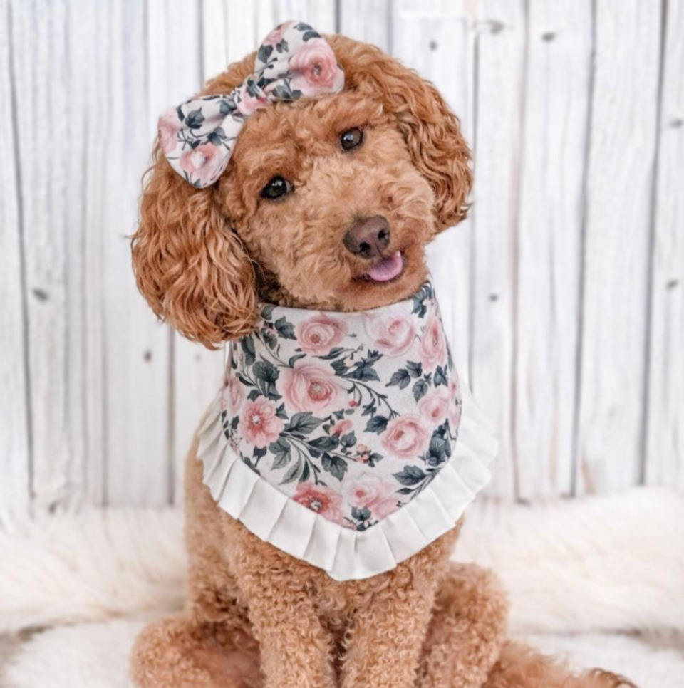 Vintage Floral Ruffle Dog Bandana