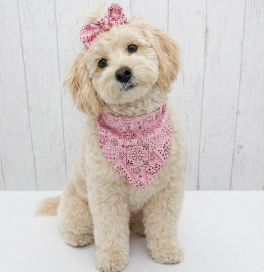 Classic Paisley Dog Bandana – Pink