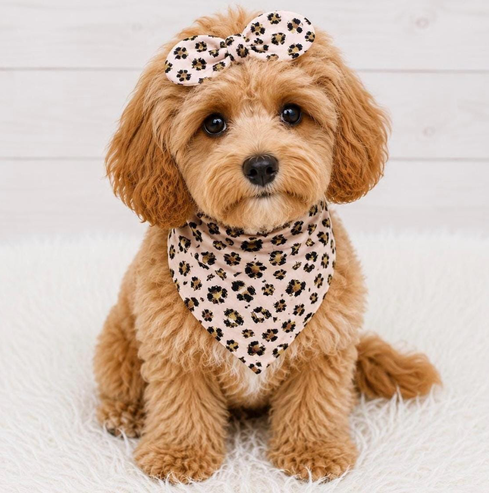 Pink Gold Leopard Dog Bandana