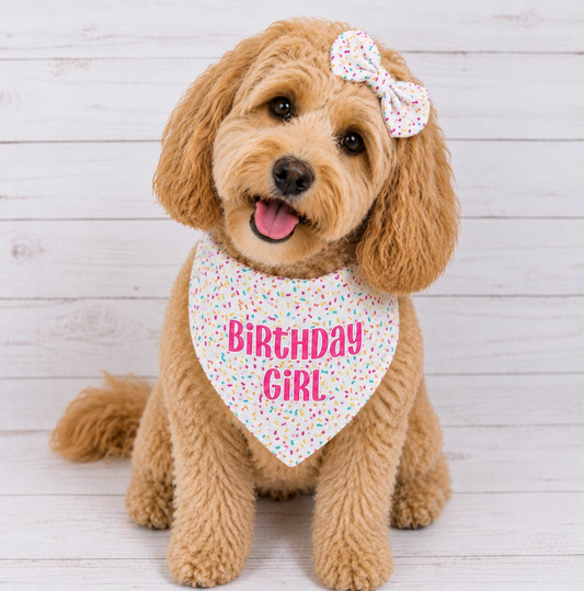 Birthday Dog Bandana - Girl
