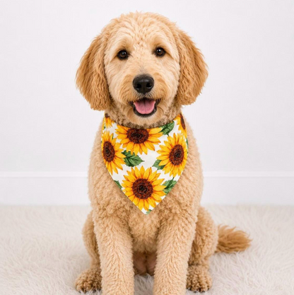 Sunflower Dog Bandana