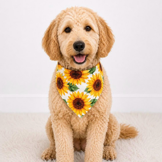 Sunflower Dog Bandana