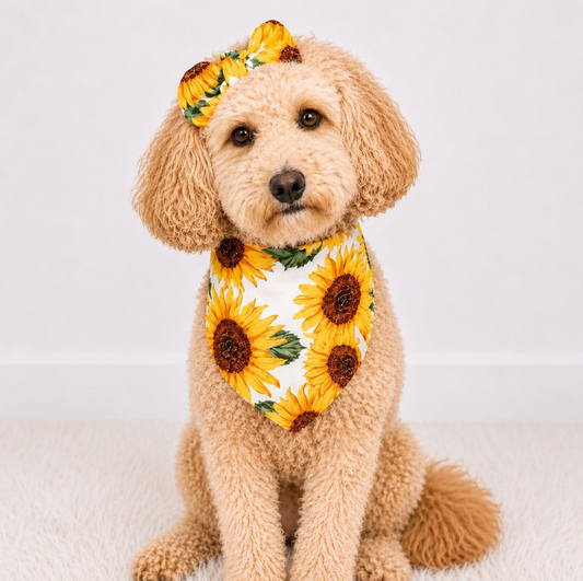 Sunflower Dog Bandana