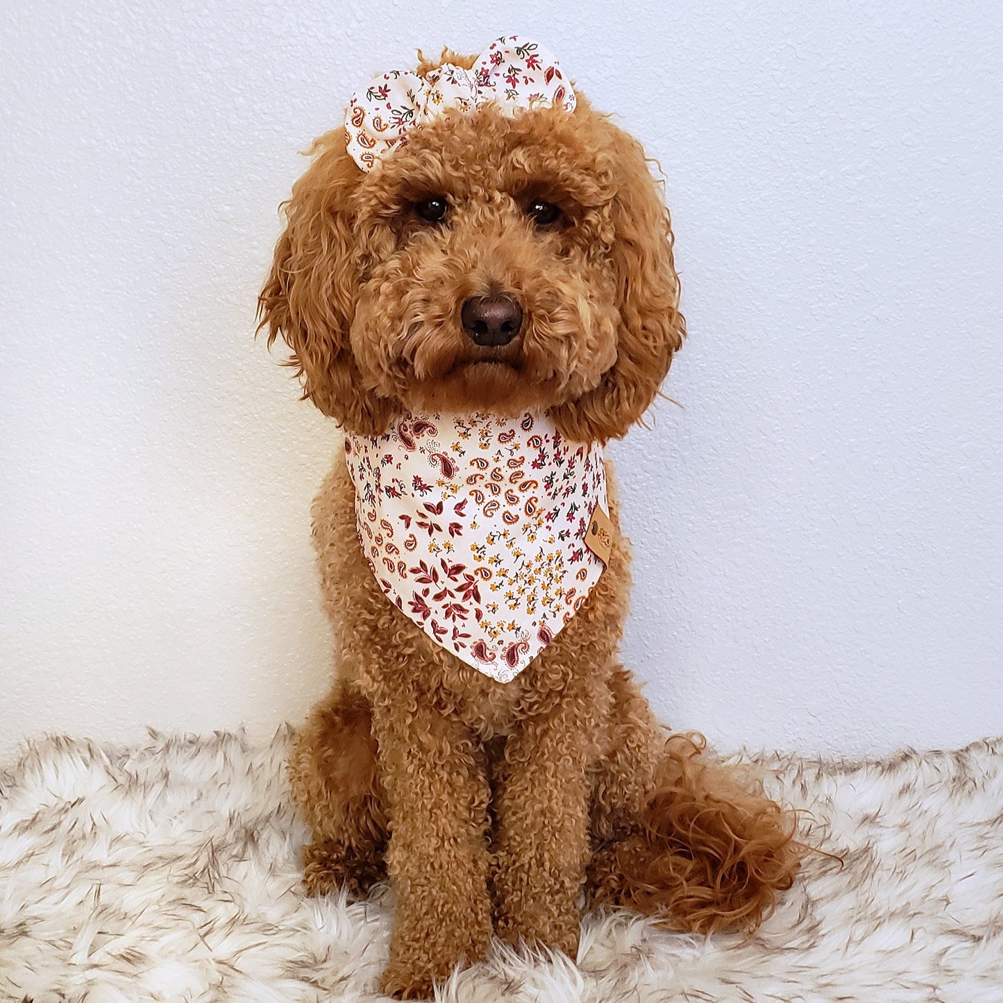 Paisley & Floral Dog Bandana