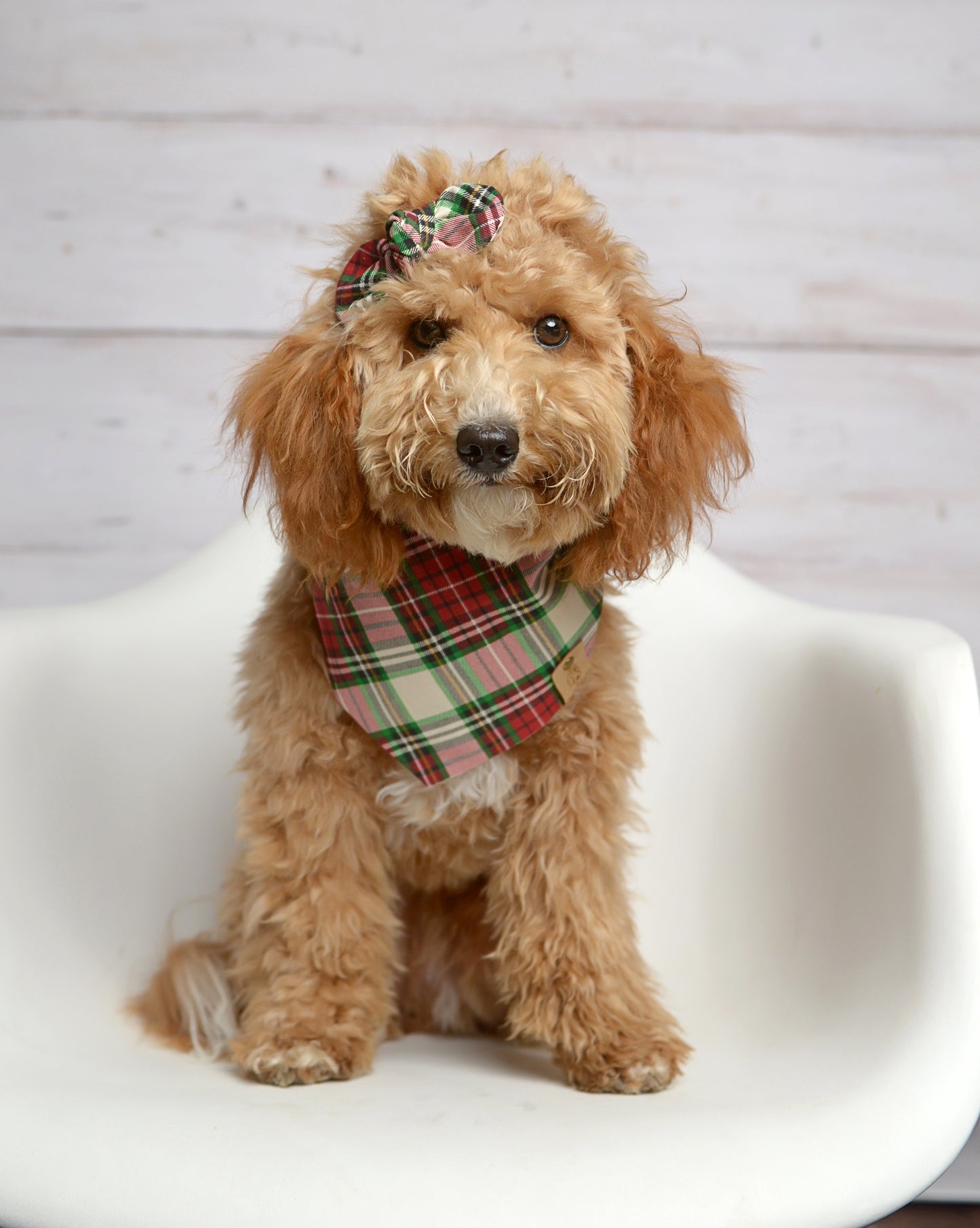 Red Lodge Plaid Dog Bandana