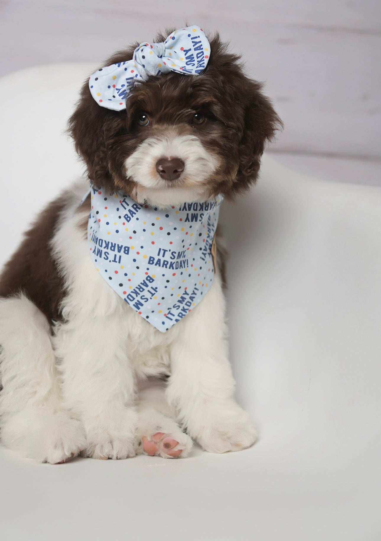 It's My Bark Day Blue Dog Bandana