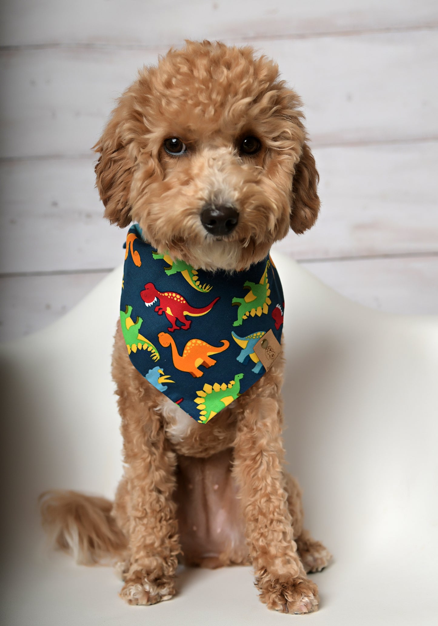 Dinosaur Dog Bandana