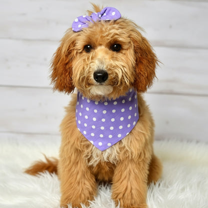 Lavender Dot Dog Bandana