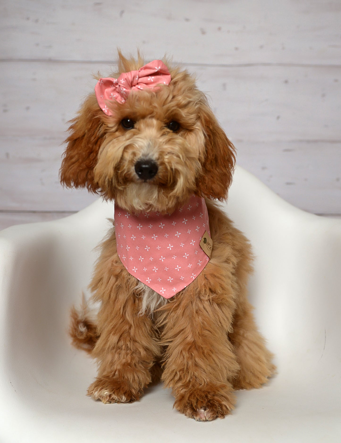 Rose Dog Bandana