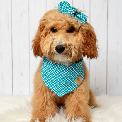 Teal Gingham Dog Bandana
