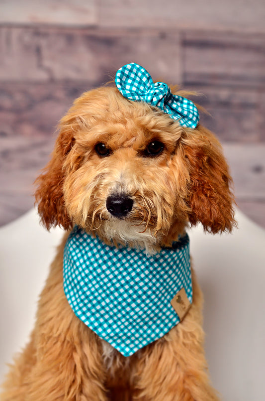 Teal Gingham Dog Bandana