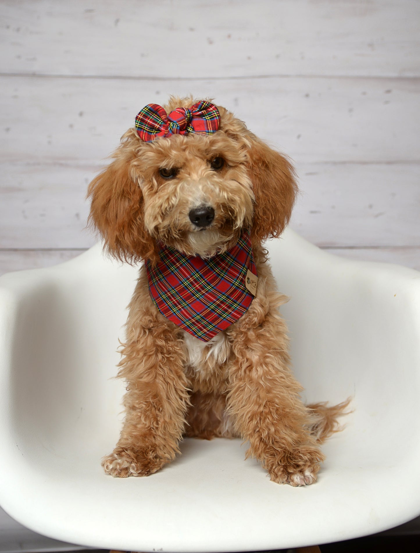 Red Plaid Dog Bandana