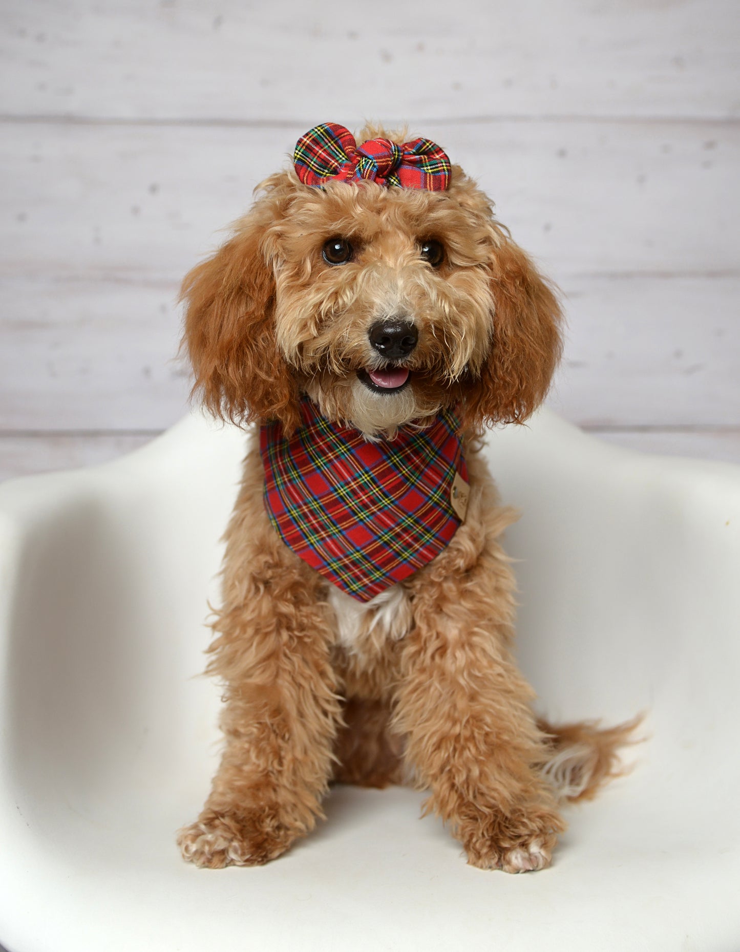 Red Plaid Dog Bandana