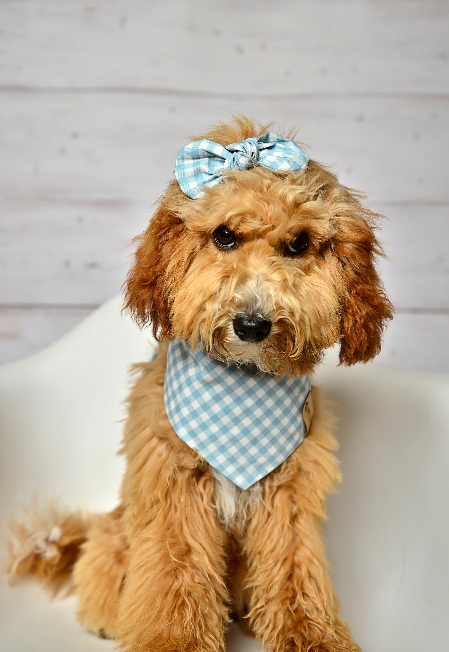 Blue Gingham Check Dog Bandana