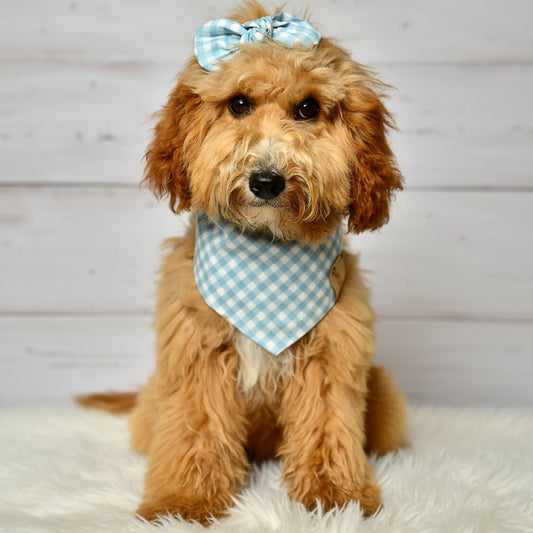 Blue Gingham Check Dog Bandana