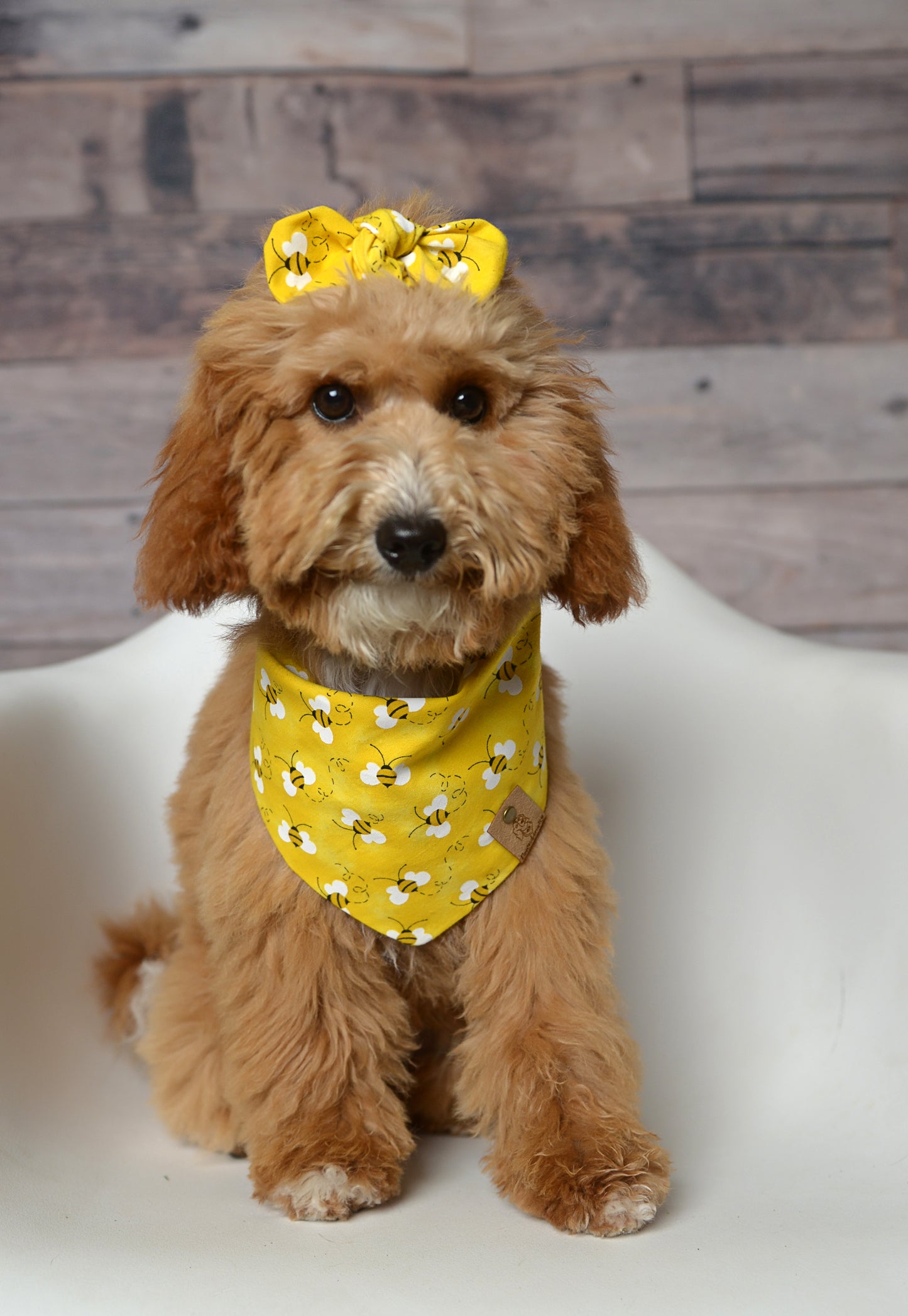 Bees Dog Bandana