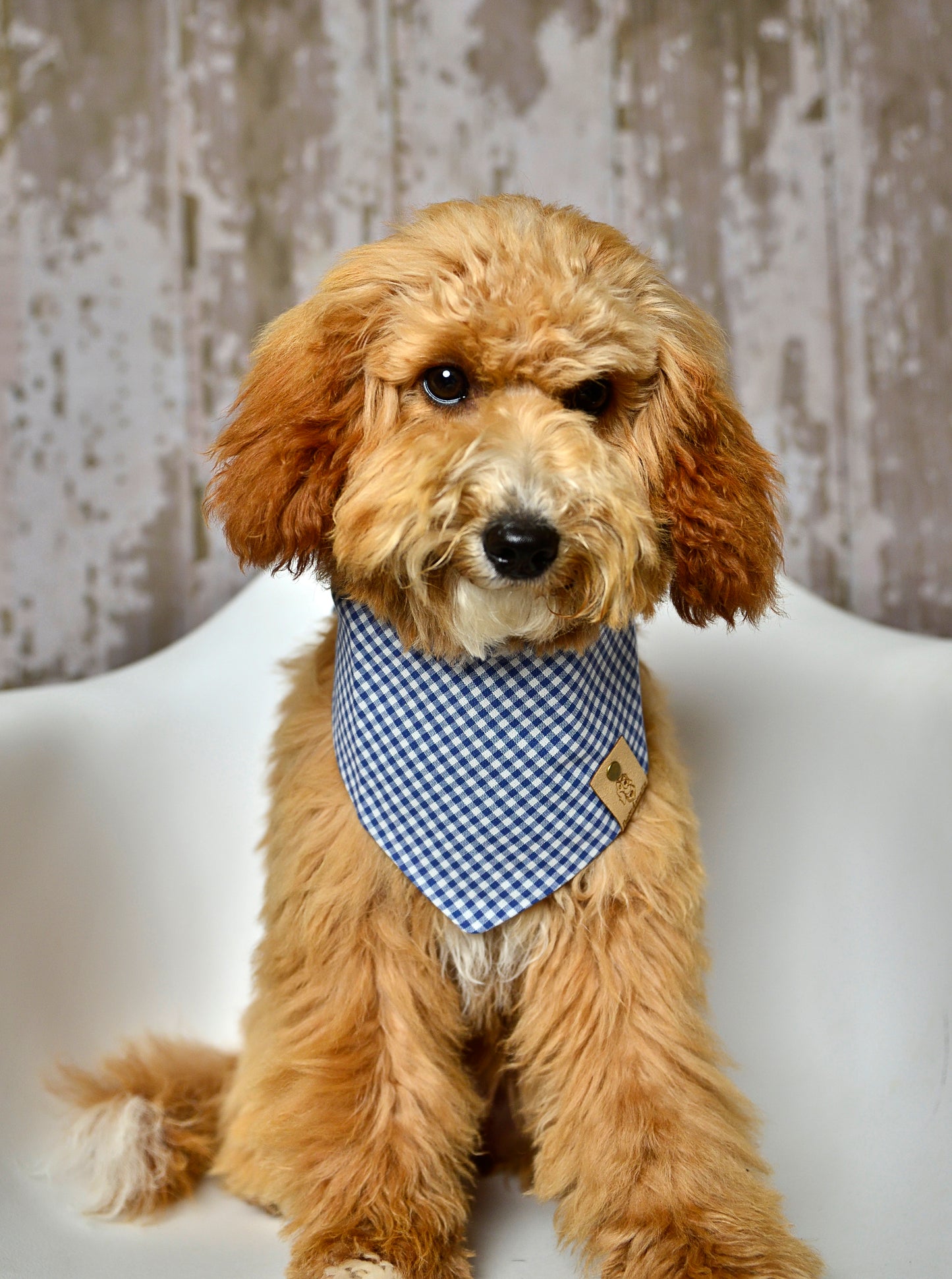 Denim Gingham Dog Bandana