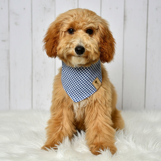 Denim Gingham Dog Bandana