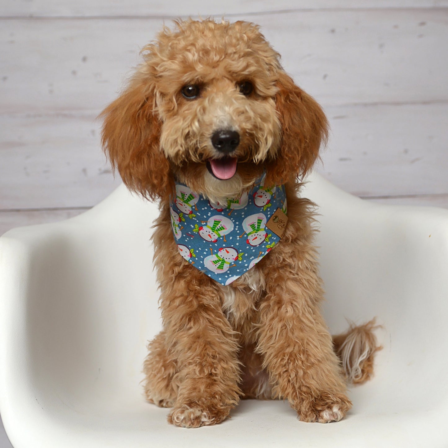 Snowman Dog Bandana