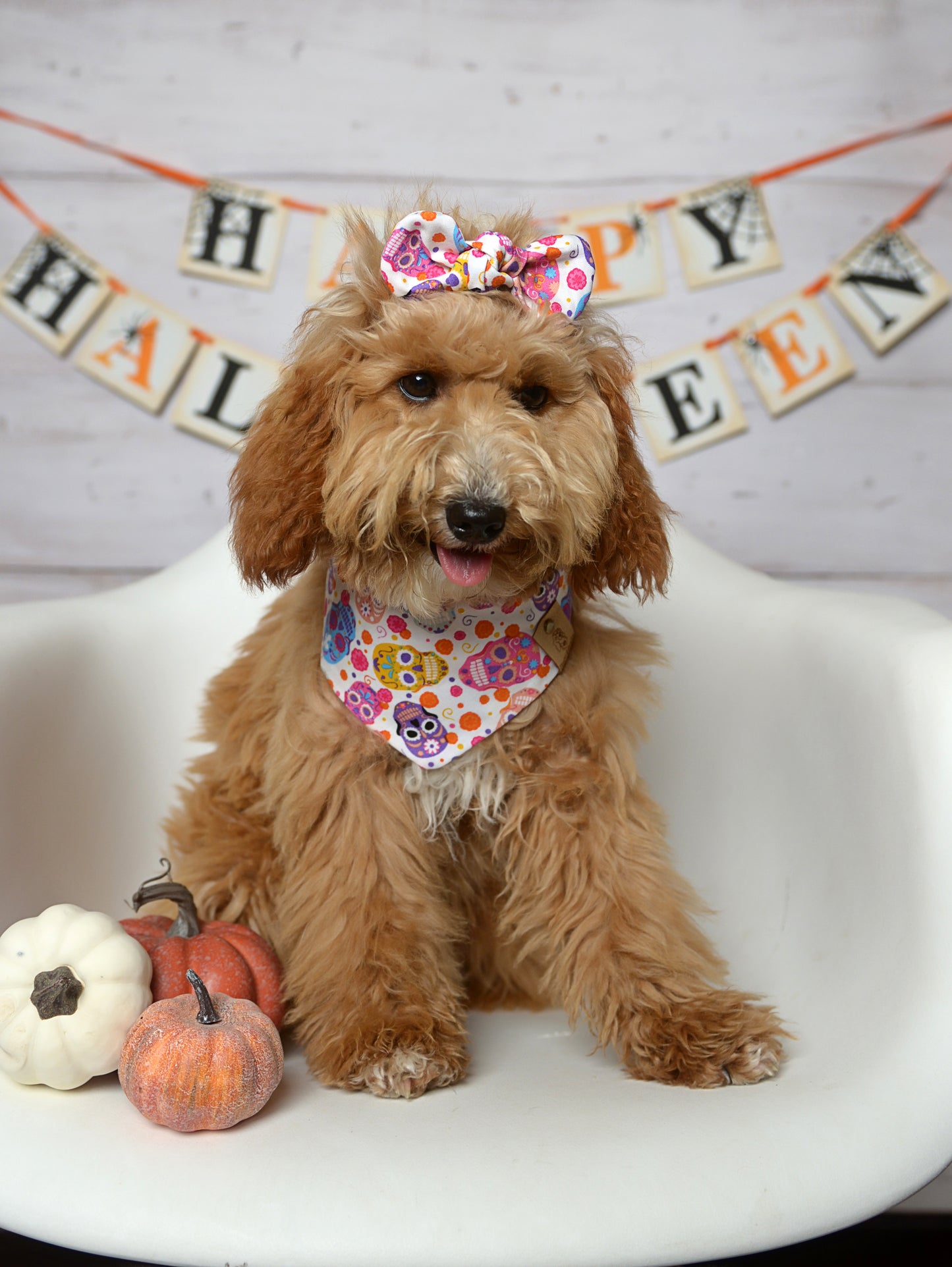 Sugar Skulls Dog Bandana