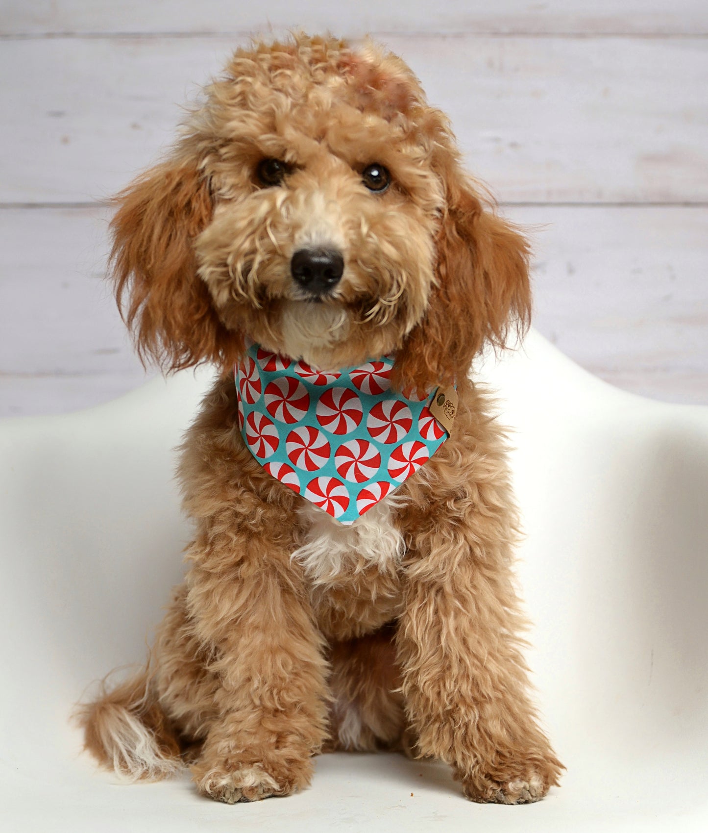 Peppermint Teal Dog Bandana